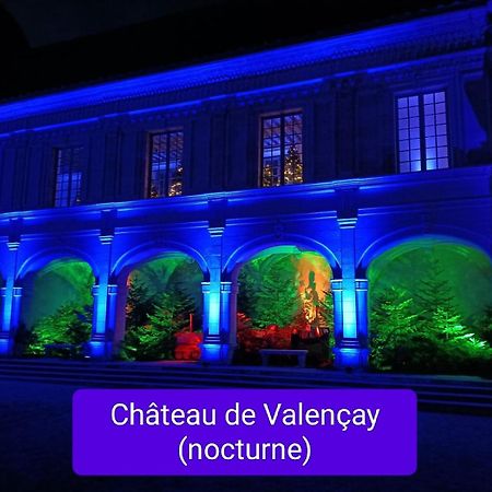 Villa Esperanza Chambre De Plain-Pied, Independante, Proche Zoo De Beauval Et Chateaux De La Loire Valencay Exterior photo
