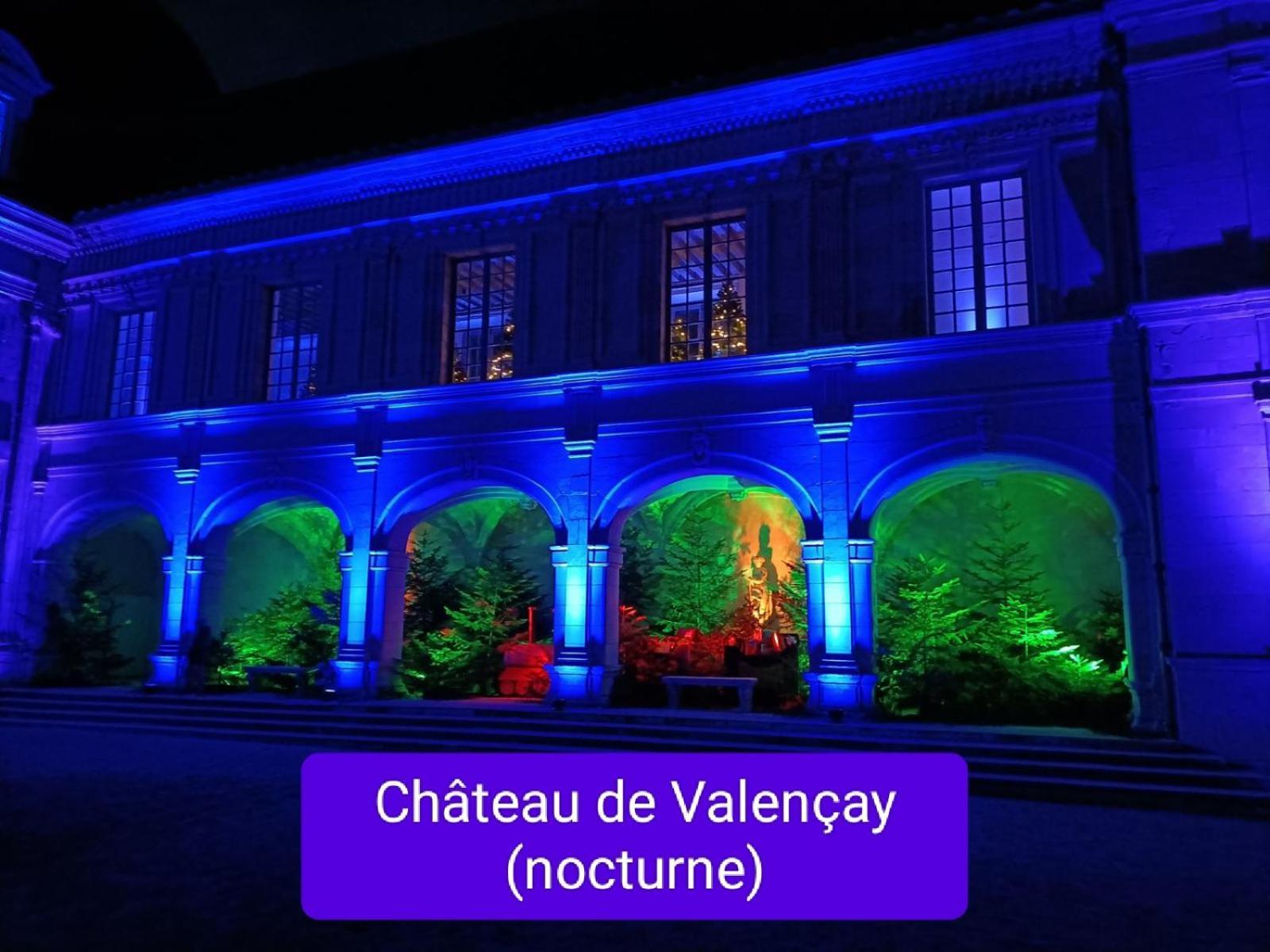 Villa Esperanza Chambre De Plain-Pied, Independante, Proche Zoo De Beauval Et Chateaux De La Loire Valencay Exterior photo